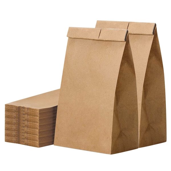 Glownary - White Paper Bags for Lunch, Craft, or Takeout. (5 LB, 100 Count - Brown)